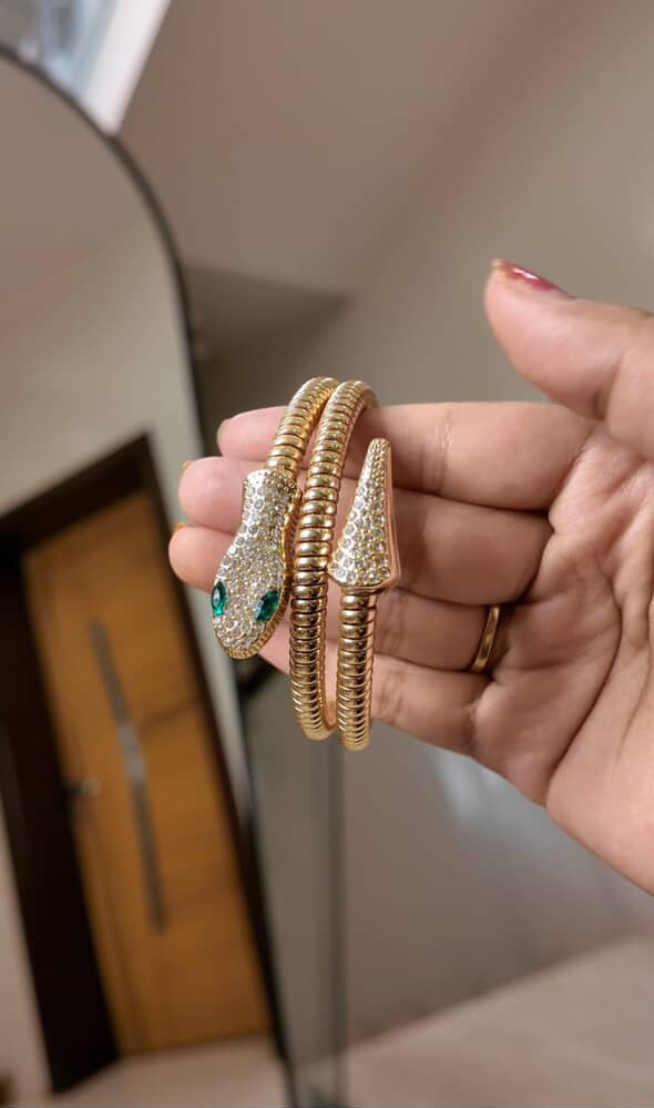 Snake bracelet